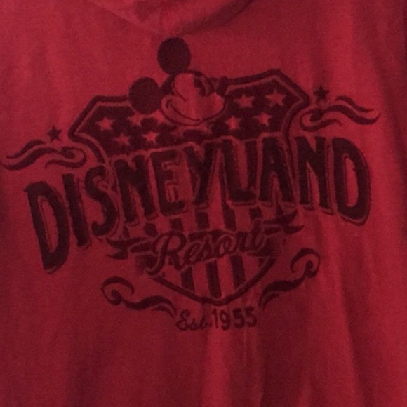 Authentic DisneyParks Hooded Sweatshirt - Picture 2 of 4